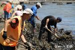 Новости » Экология » Коммуналка: В Керчи на пляже «Черепашка» убирают коммунальщики. СЭС купаться разрешает